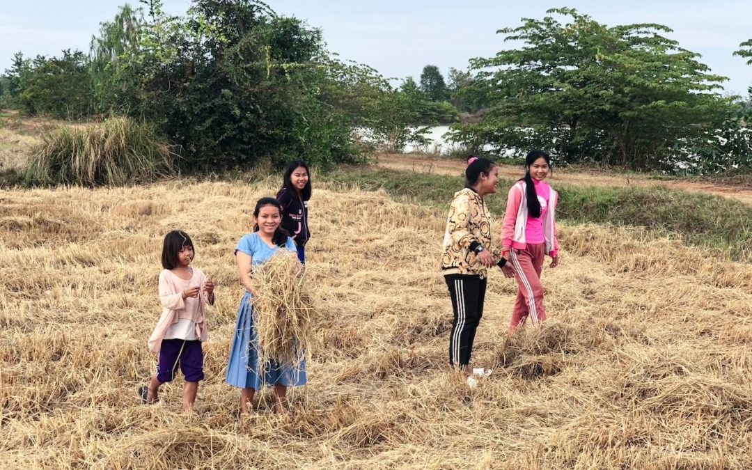 Les Enfants du Refuge et la Nature : Une Sortie Éducative dans les Rizières